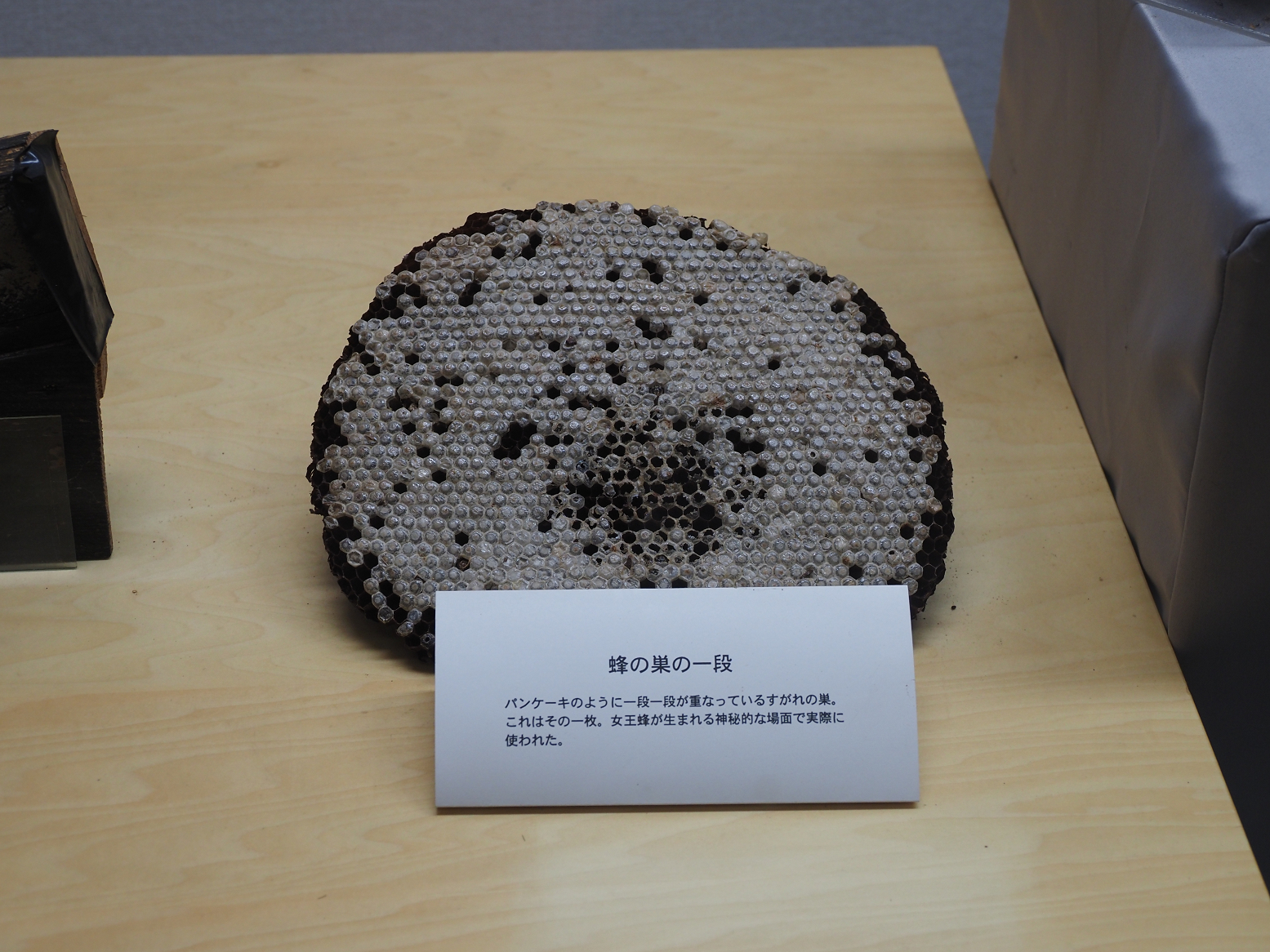 PB221832.jpg