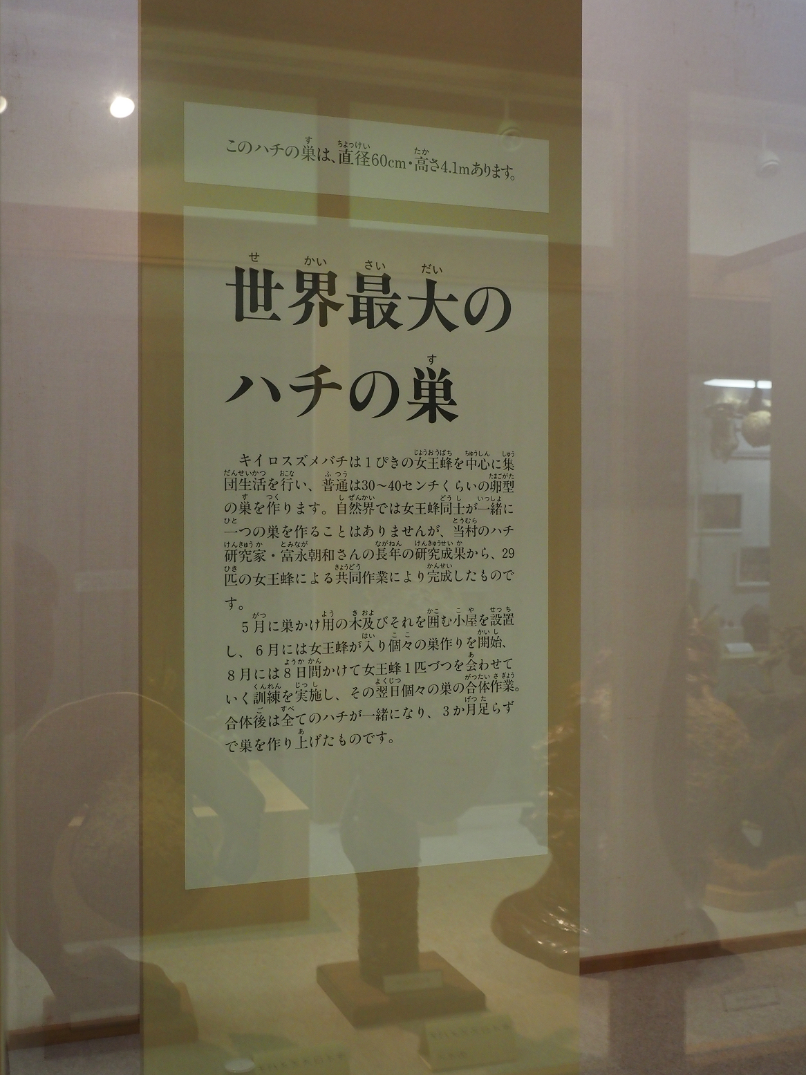 PB221868.jpg