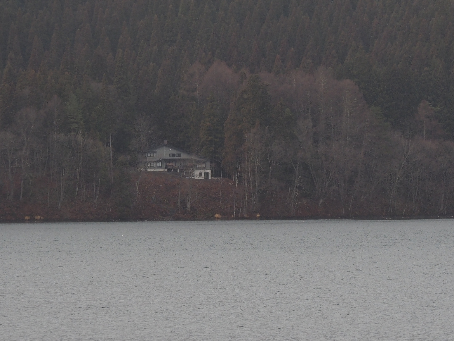 PC130493.jpg