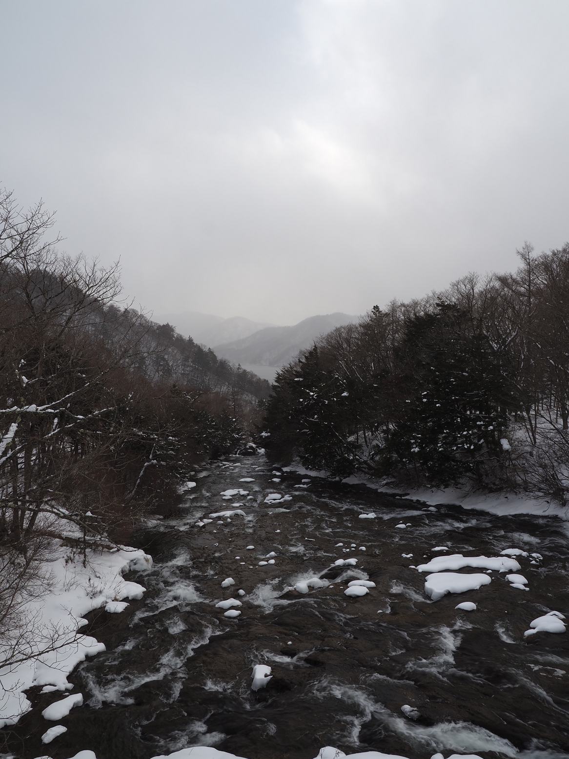 PC190545.jpg