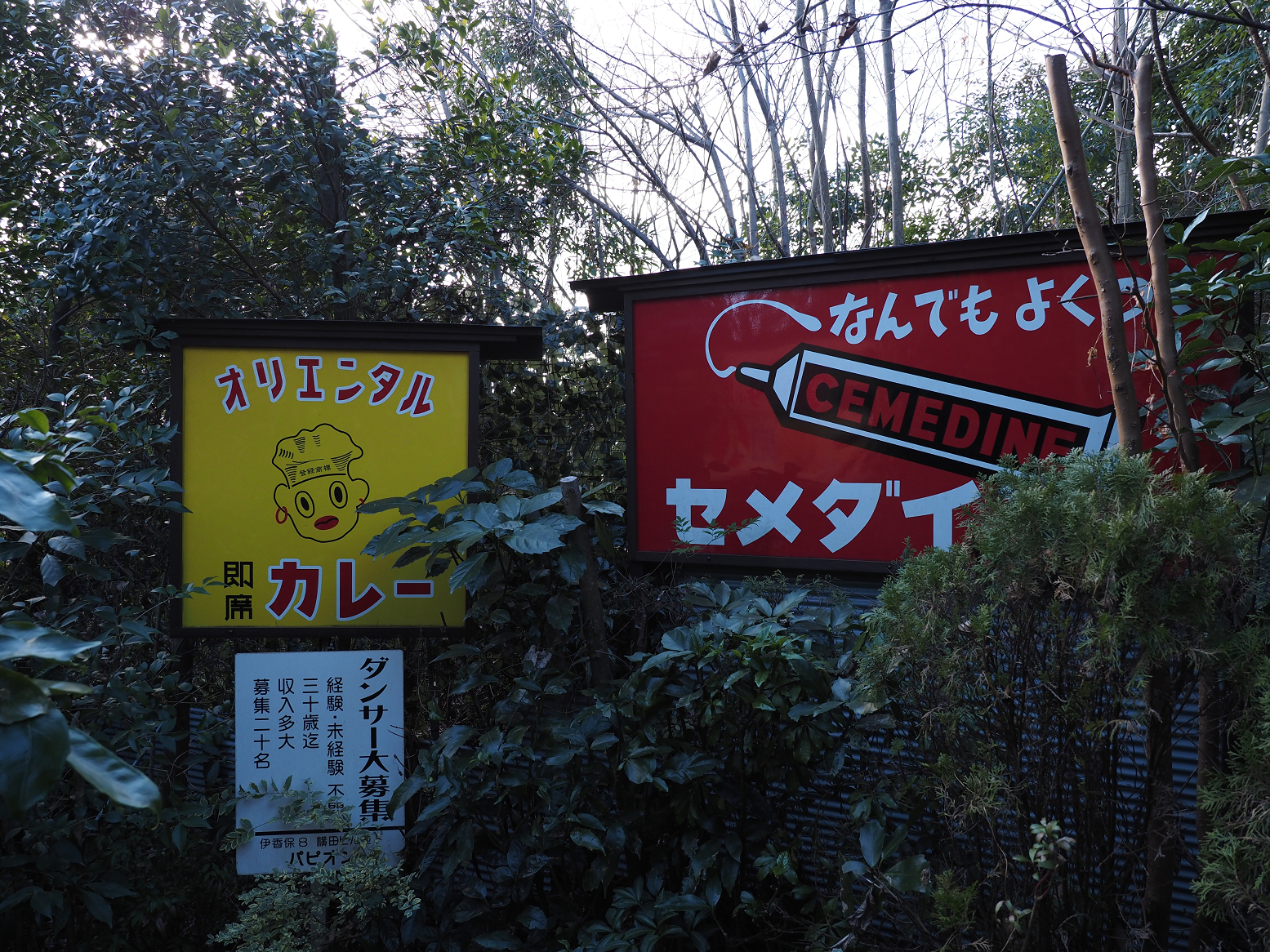 PC250800.jpg