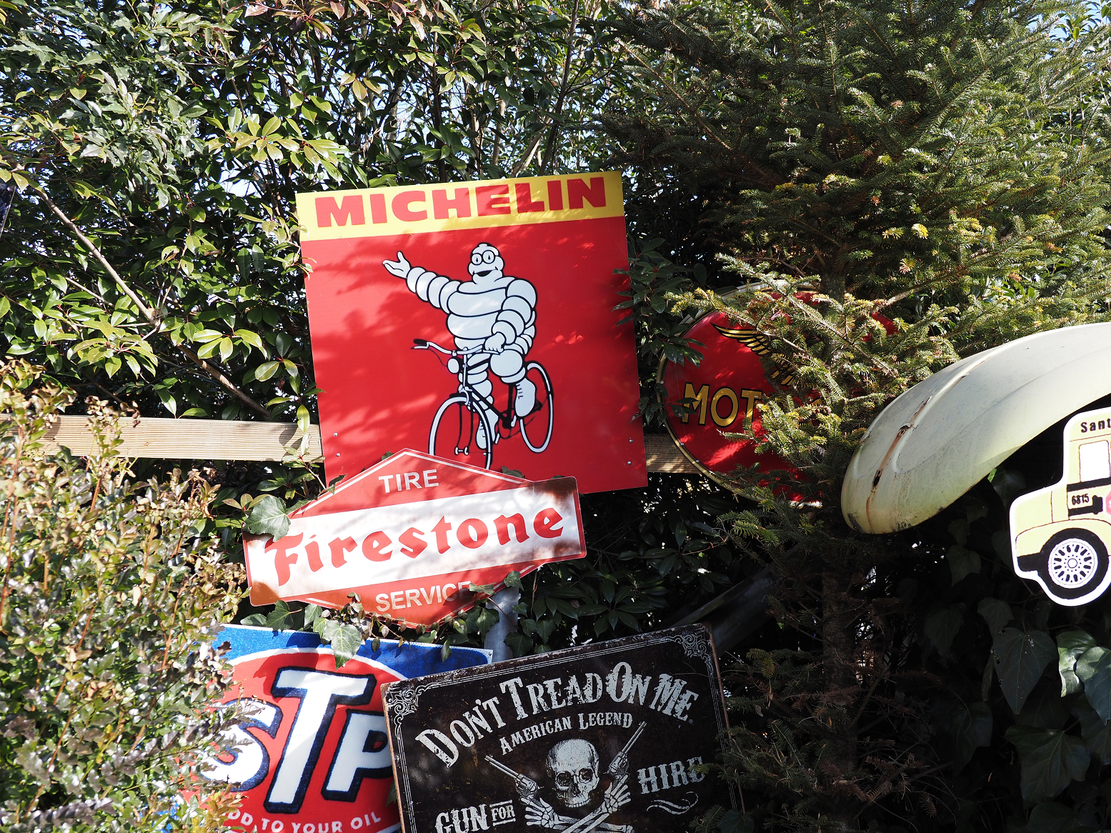 PC250829.jpg