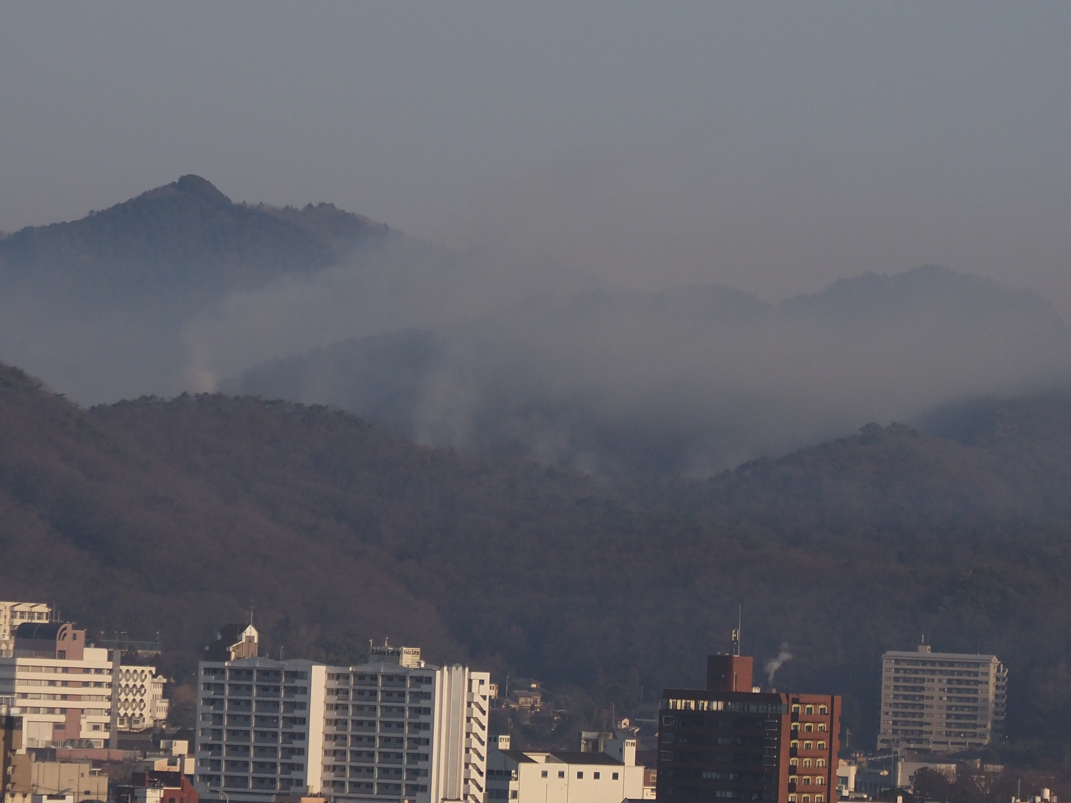 P2220005.jpg