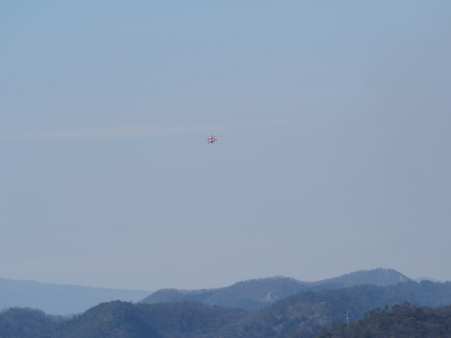 P2250015.jpg