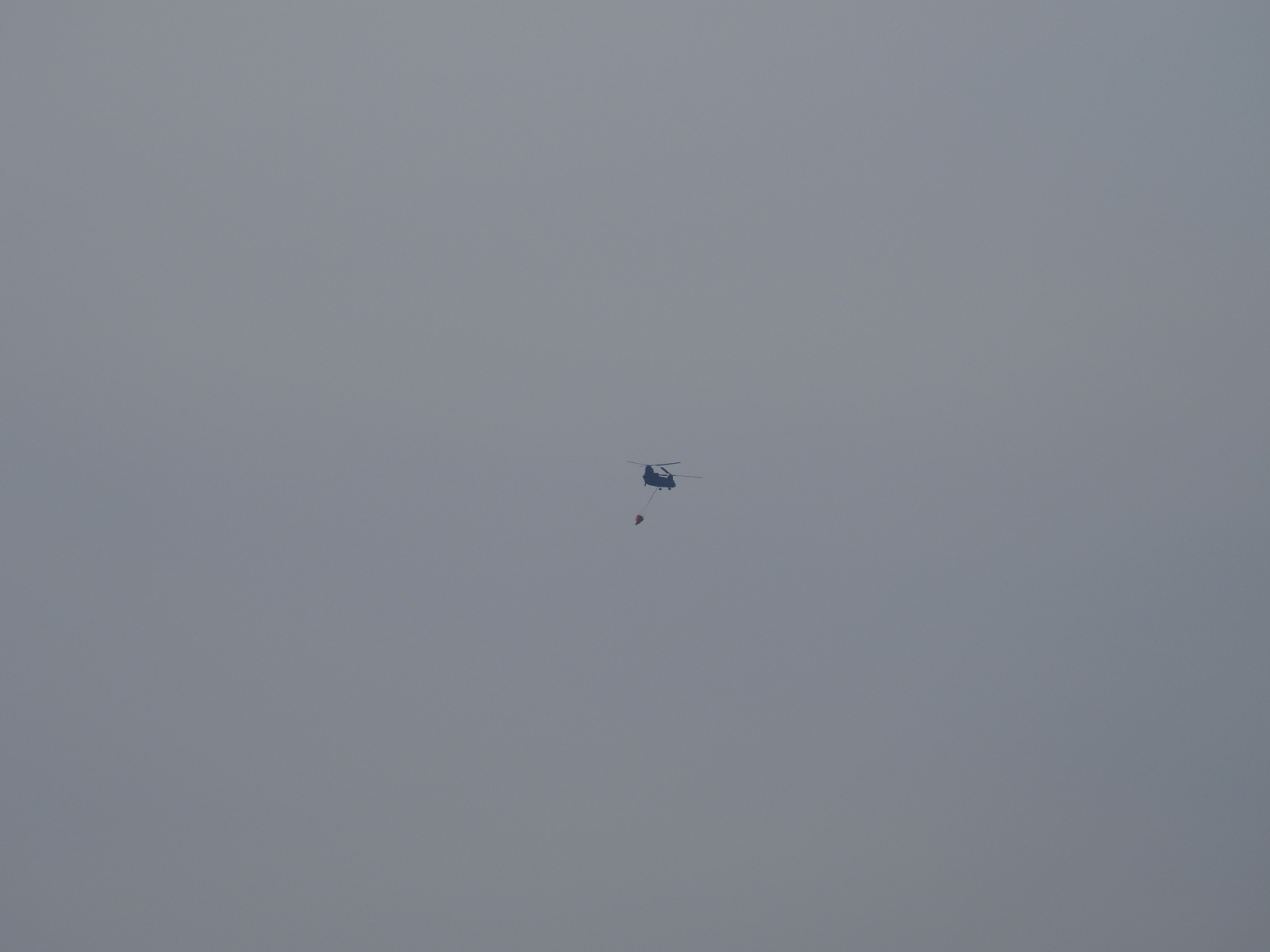 P2250043.jpg