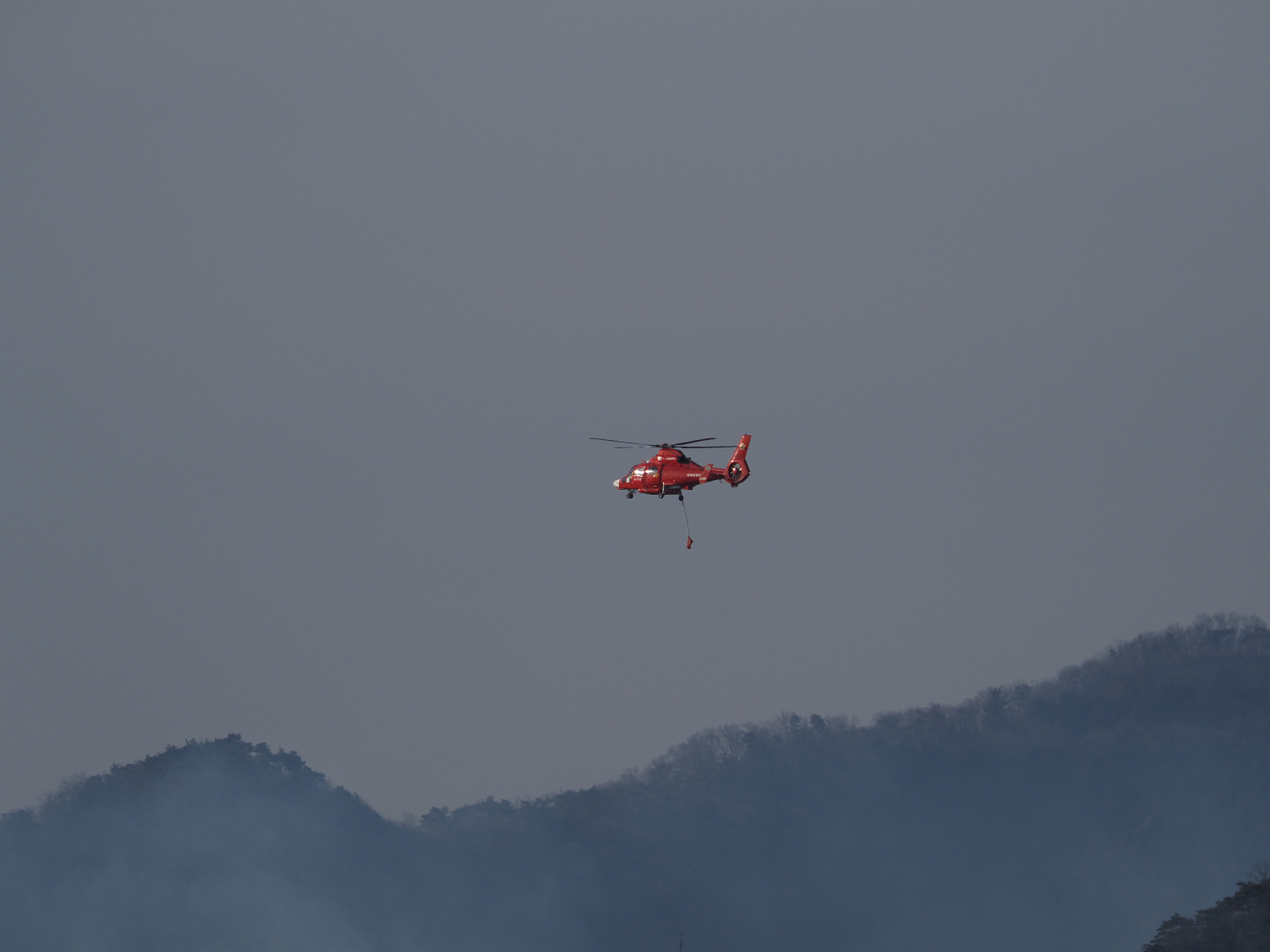 P2250052.jpg
