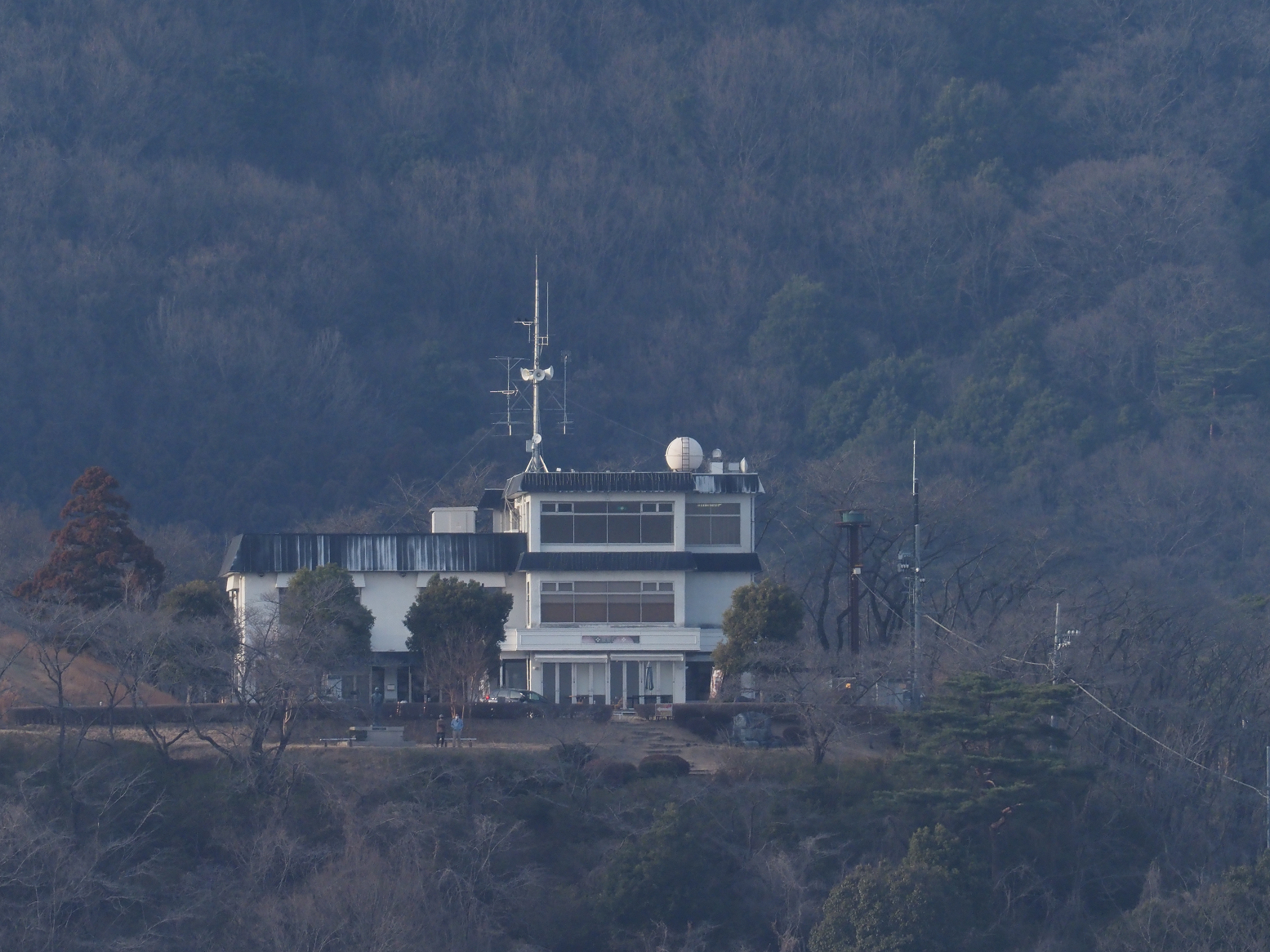 P2250130.jpg