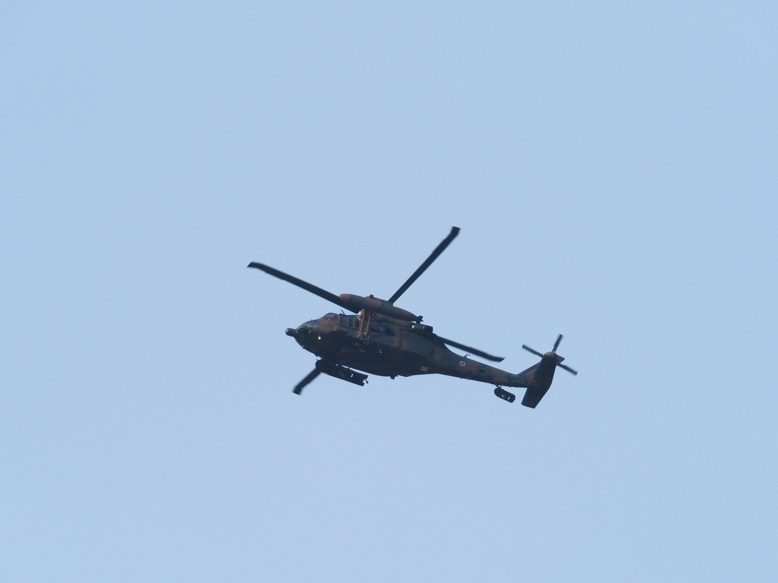 P2250142.jpg