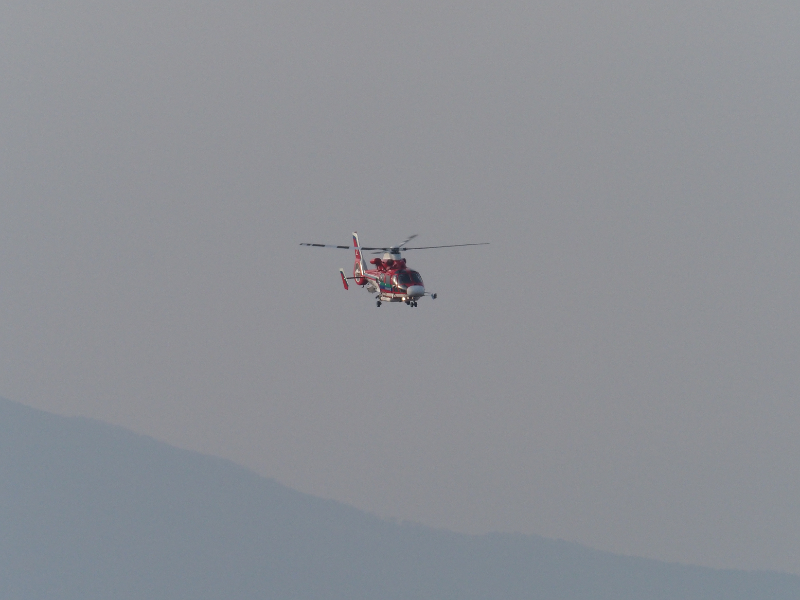 P2250148.jpg