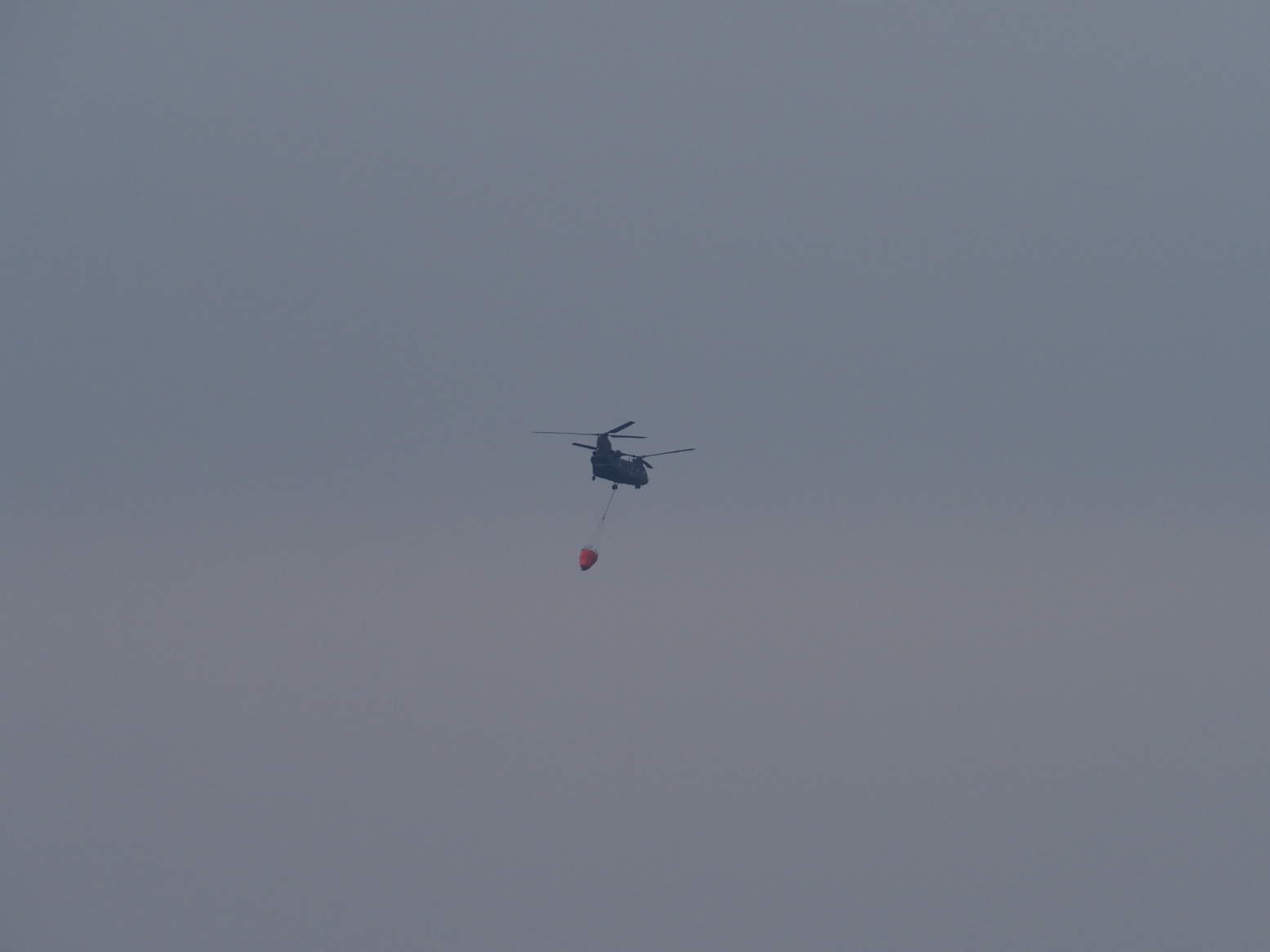 P2250194.jpg