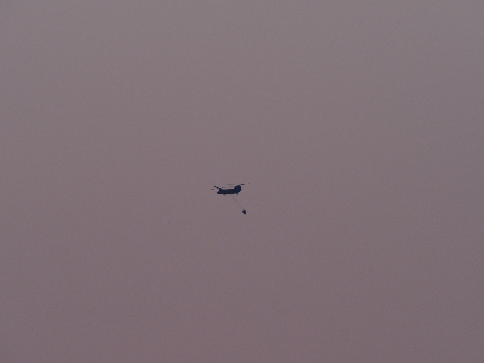 P2270821.jpg