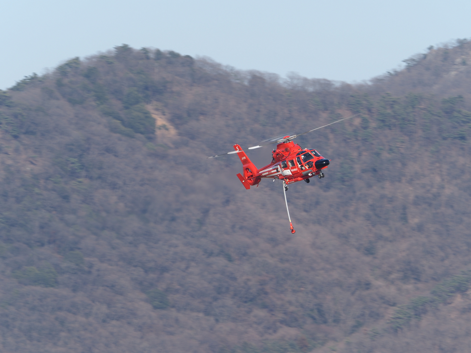 P2281341.jpg