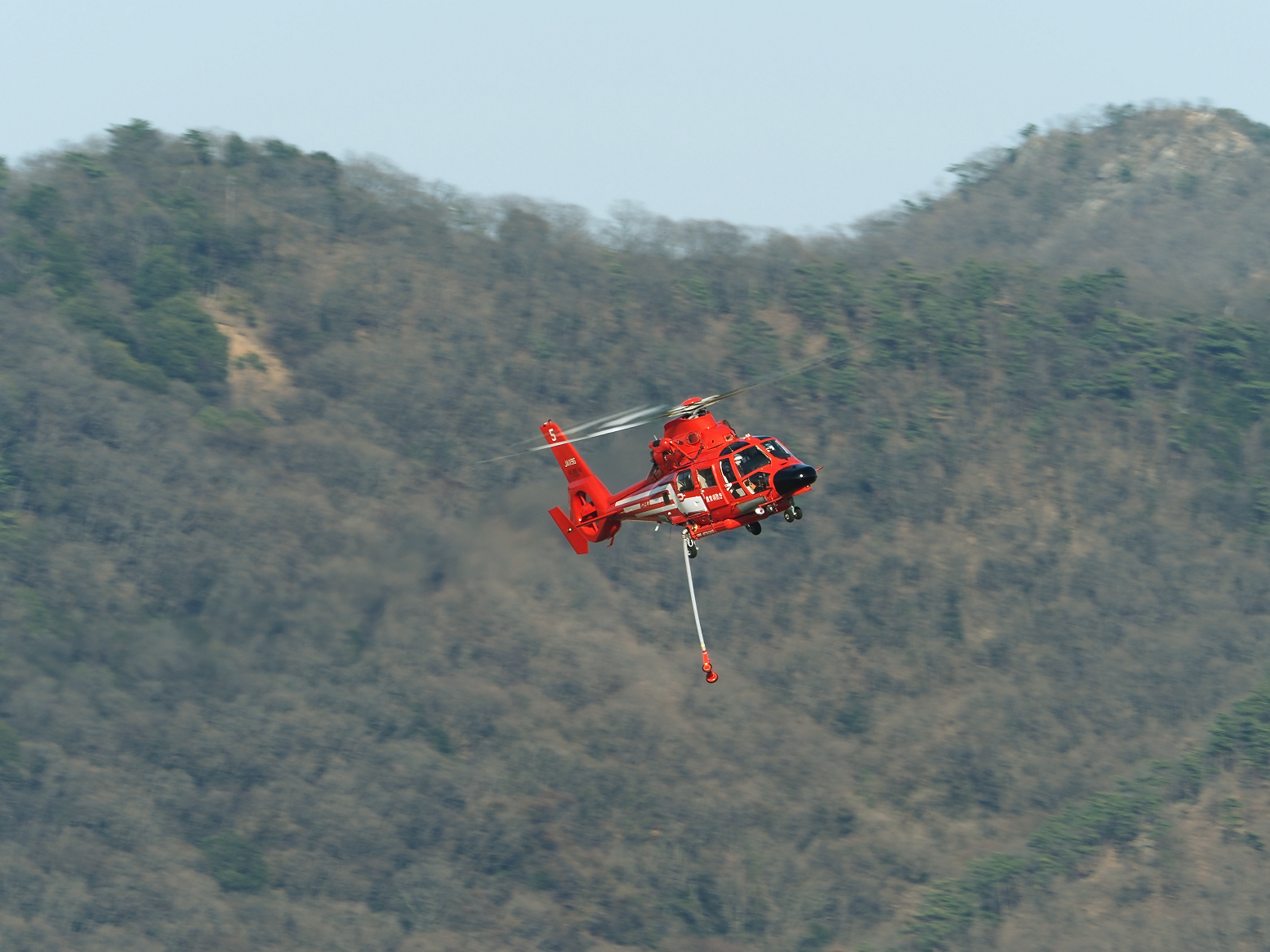 P2281343.jpg