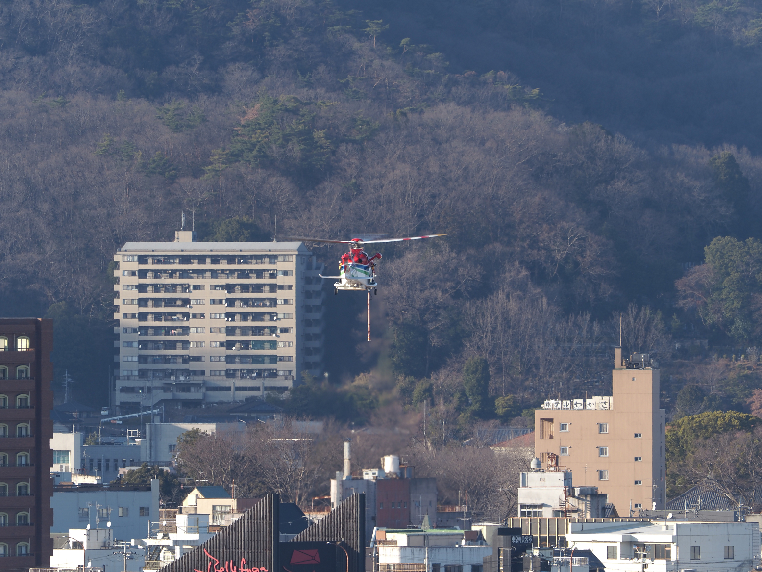 P2281642.jpg