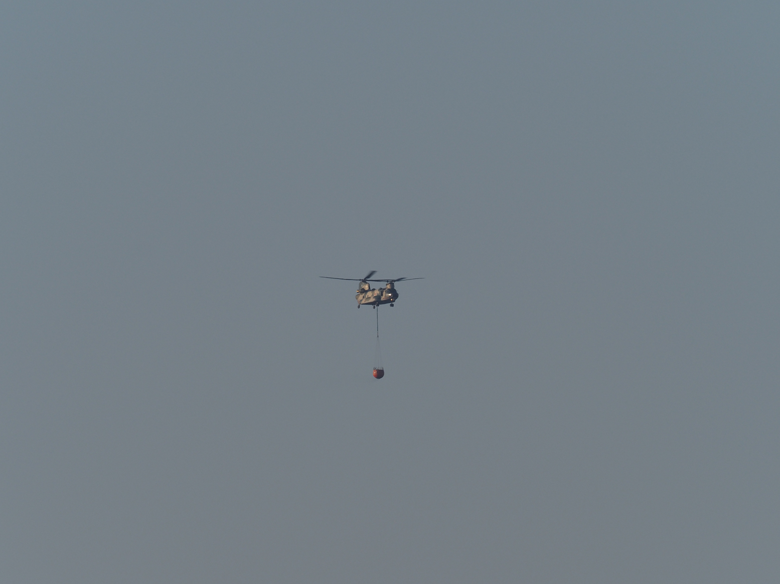 P2281846.jpg