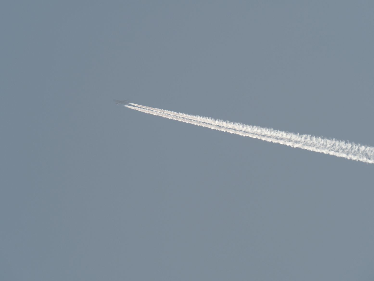 P2282515.jpg