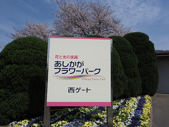 P3270006_thumb.png