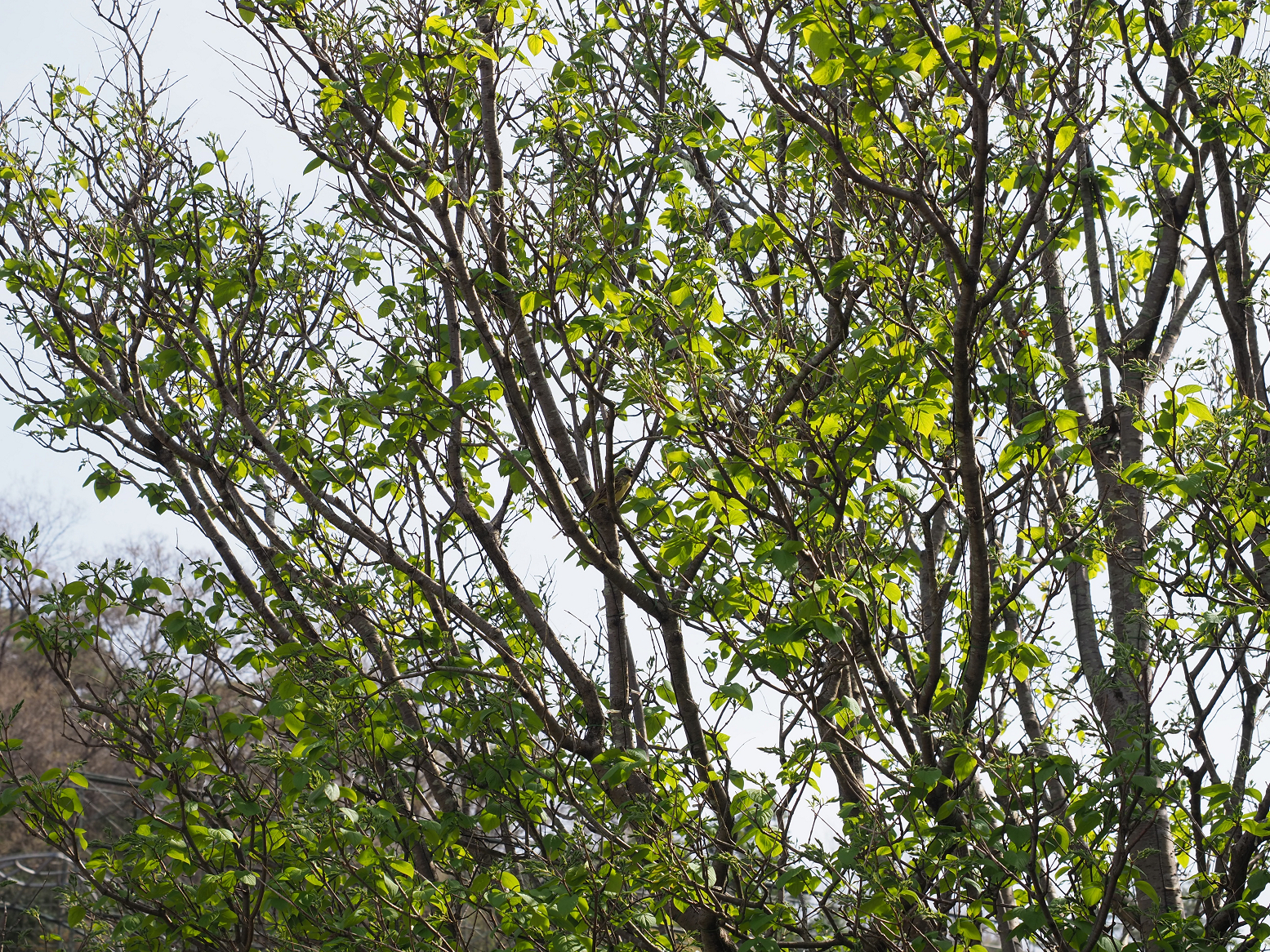 P3270022.jpg