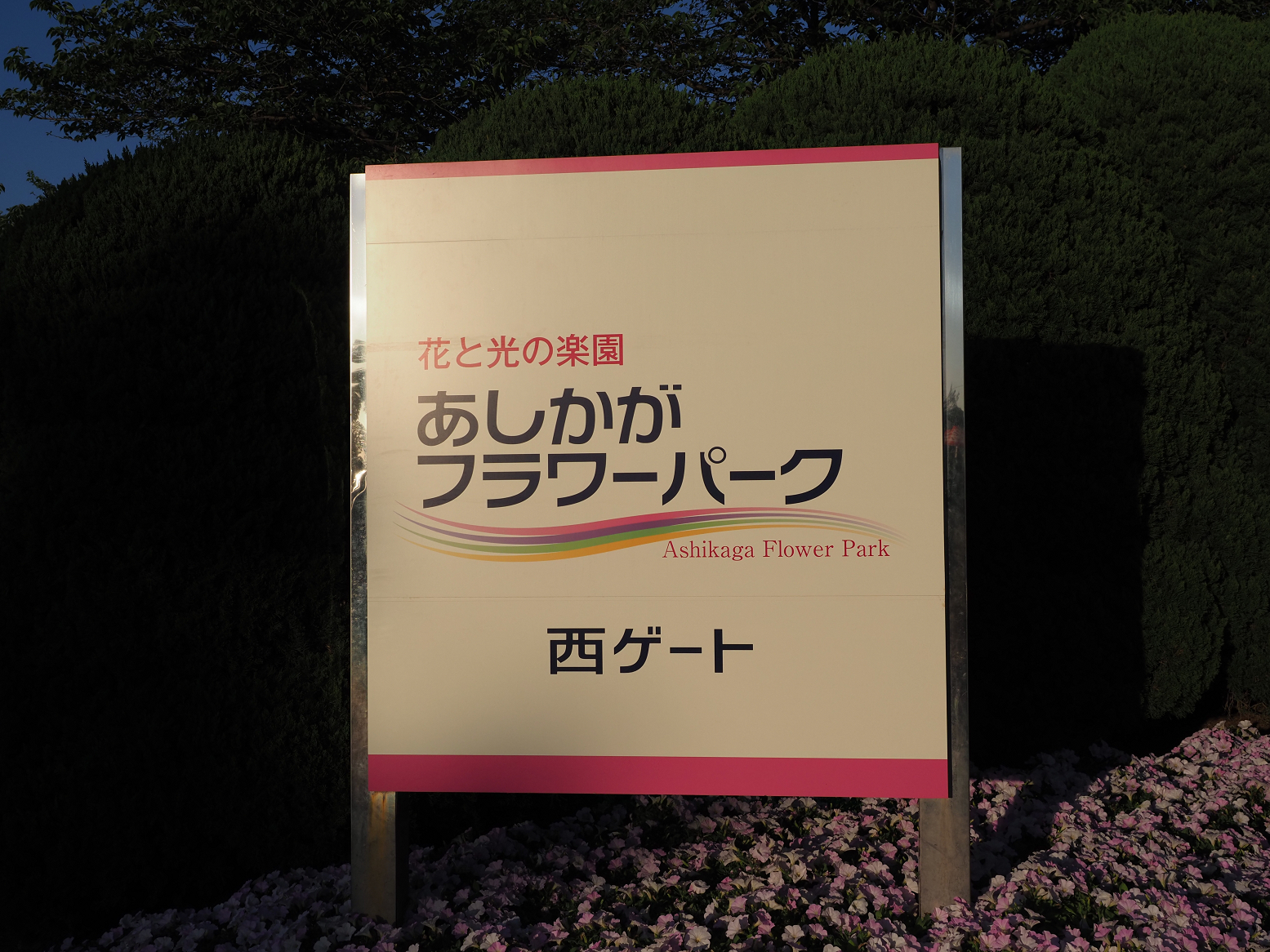 P4260001.jpg