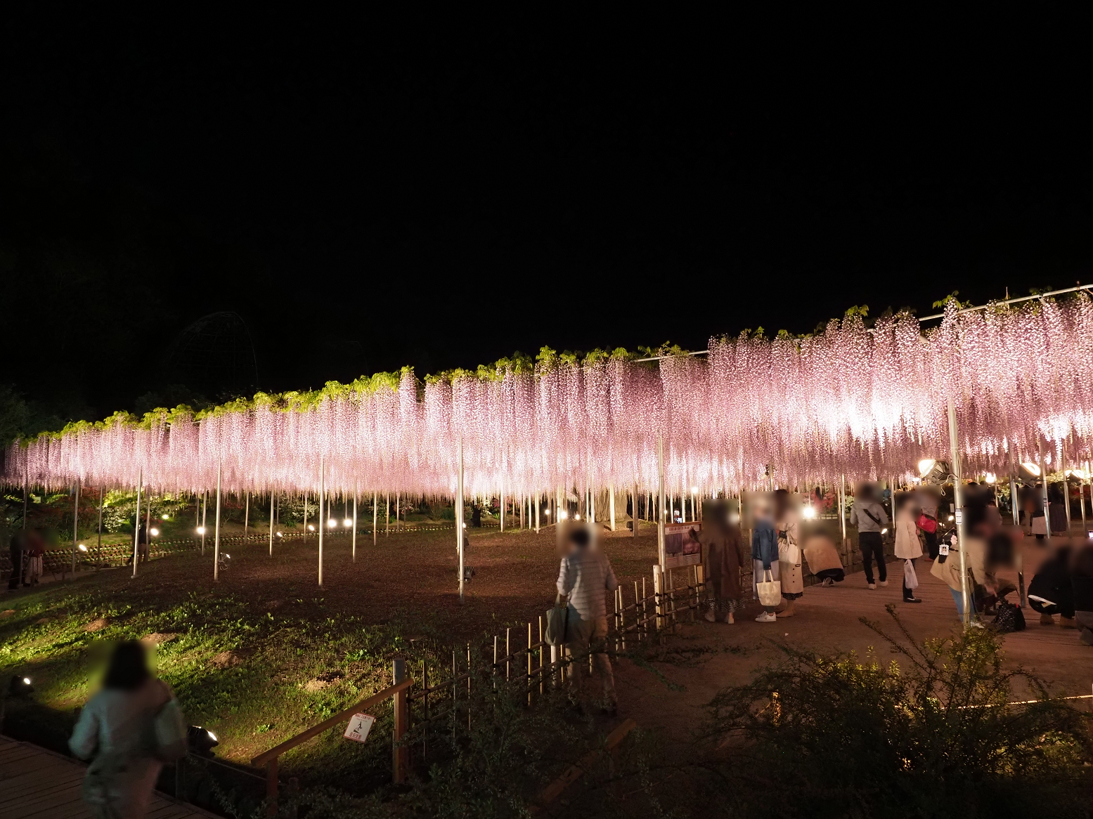 P4260131.jpg