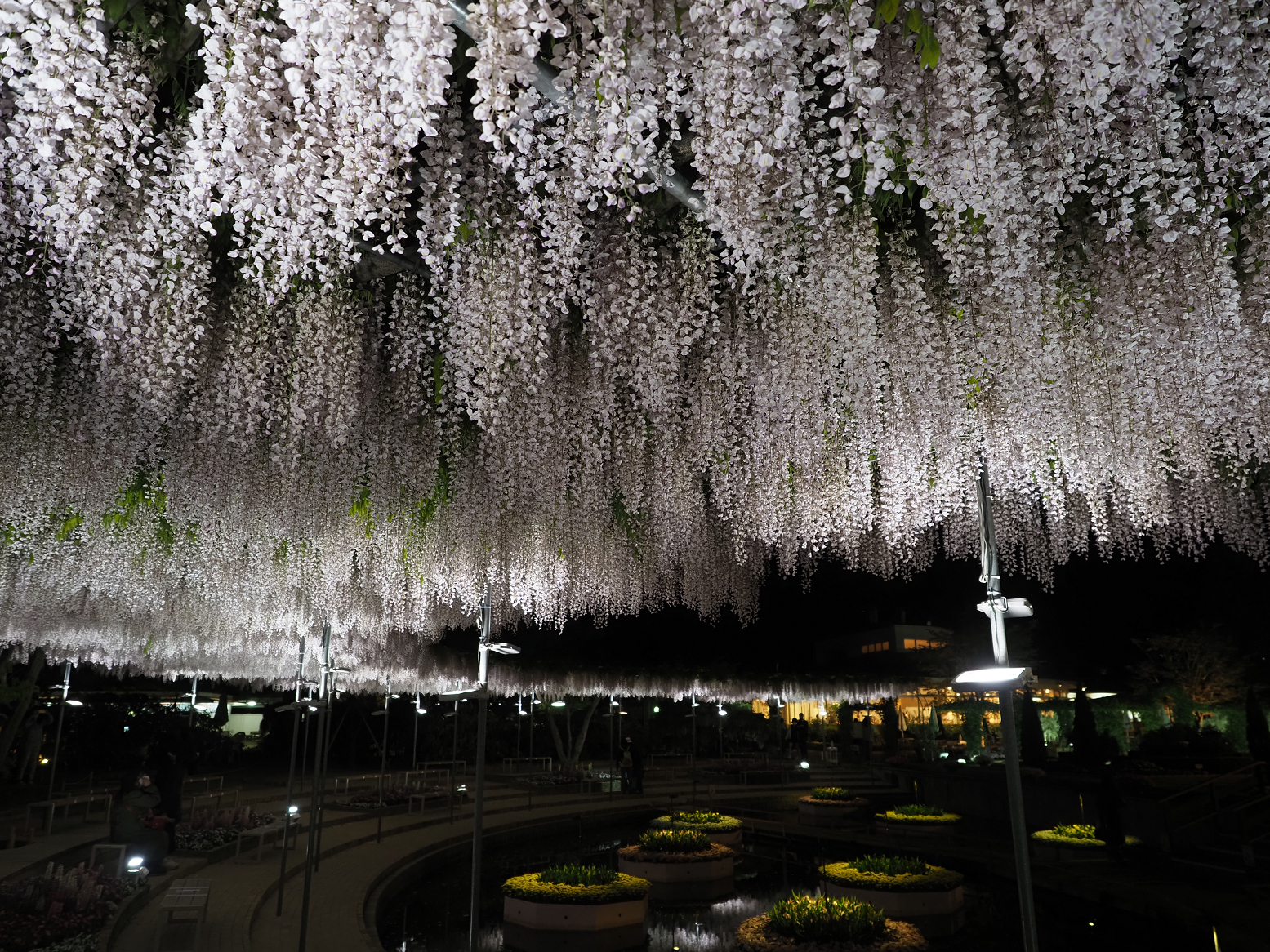 P4260136.jpg