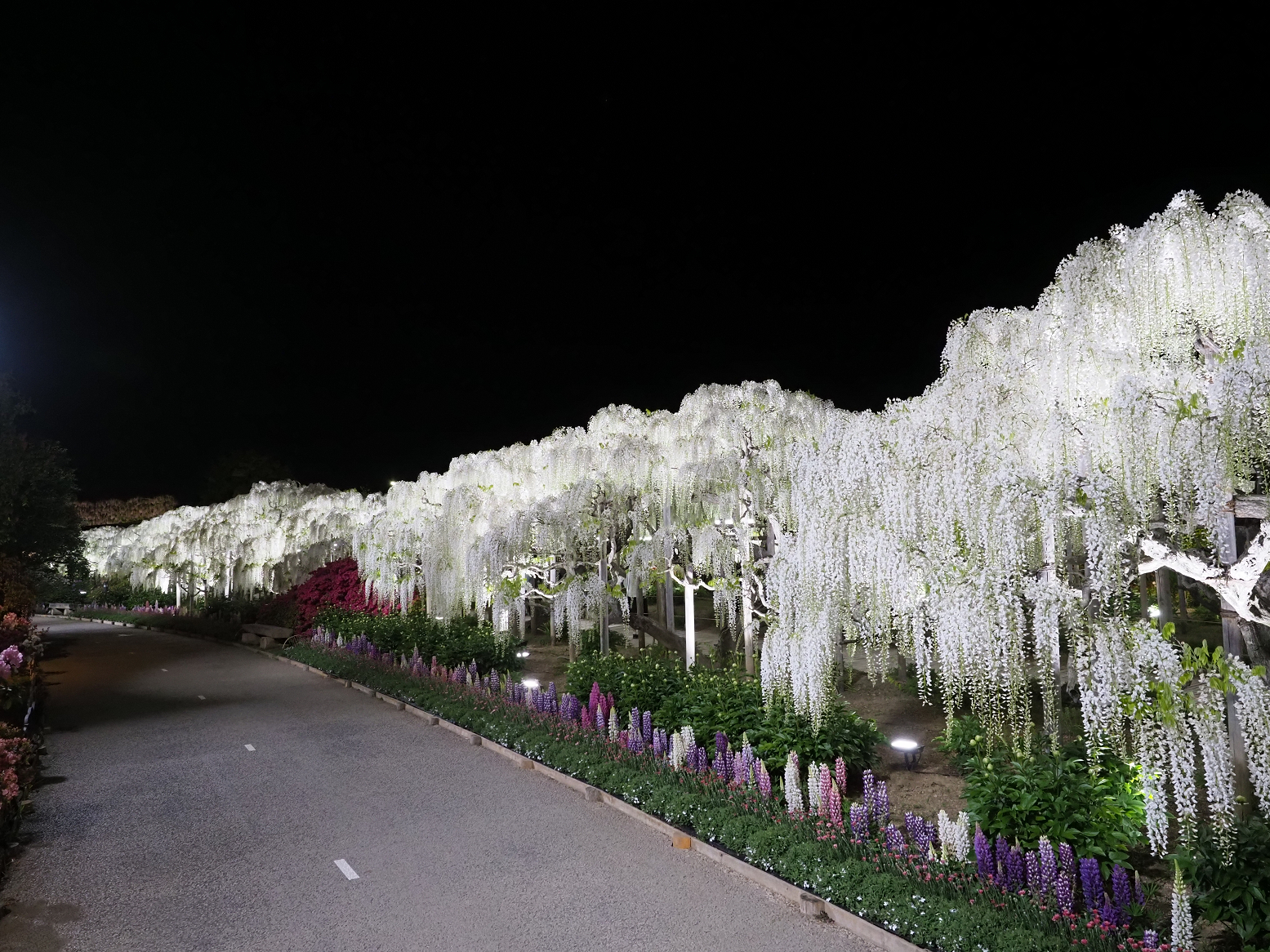 P4260158.jpg