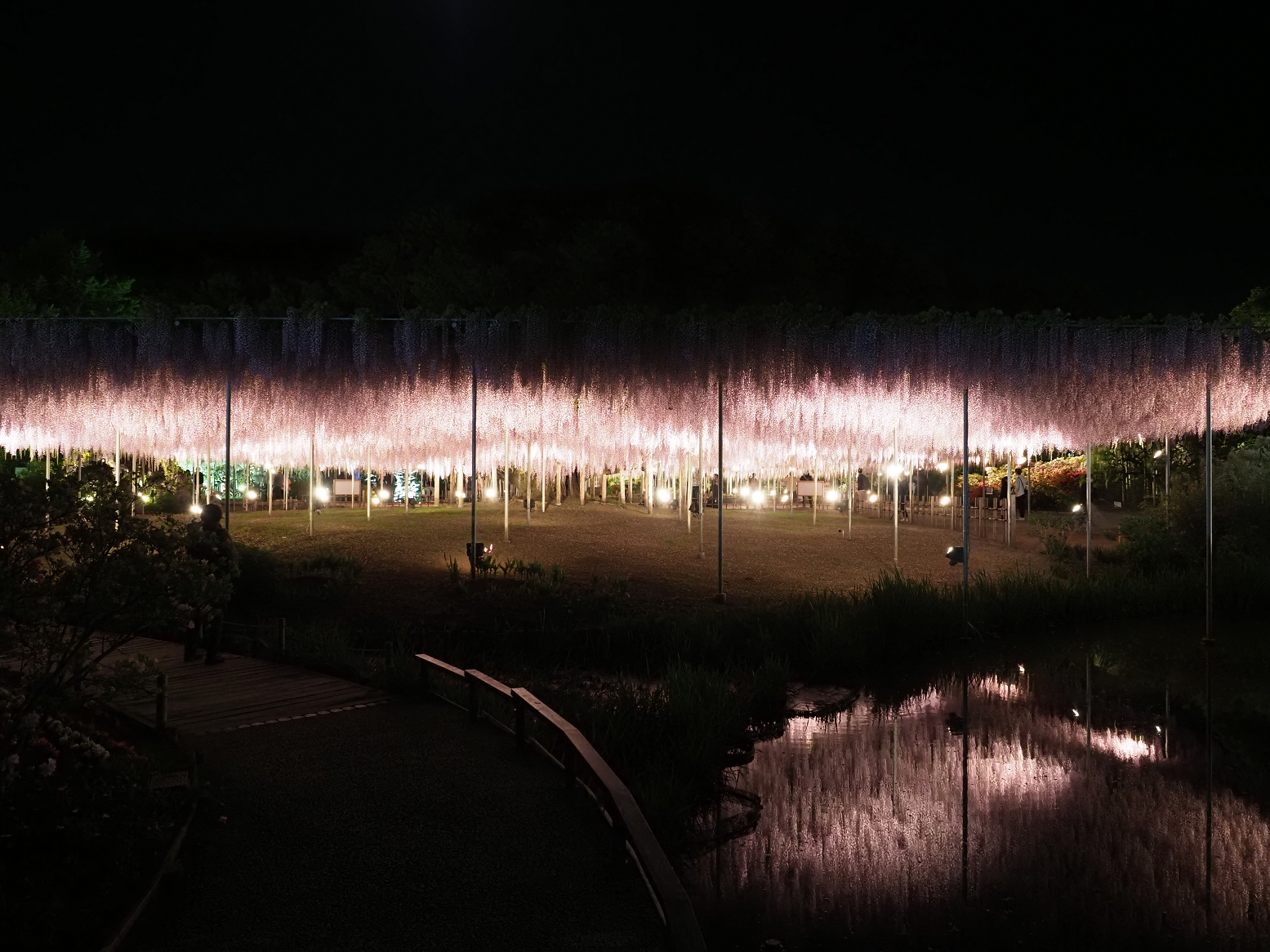 P4260169.jpg