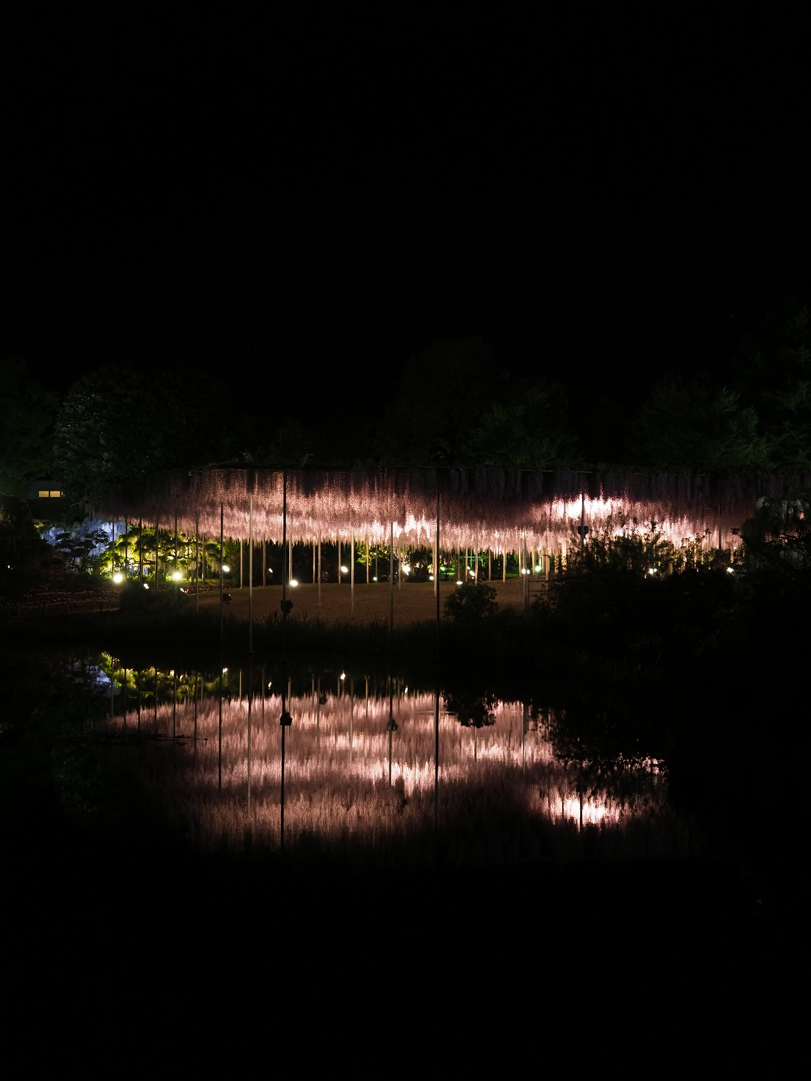 P4260177.jpg