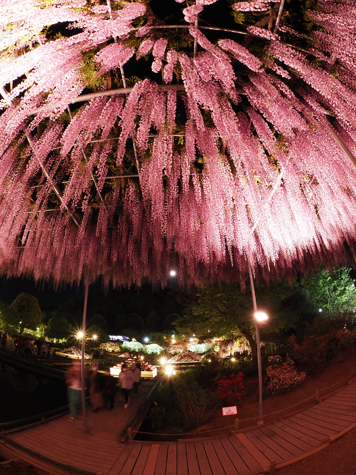 P4260166.jpg