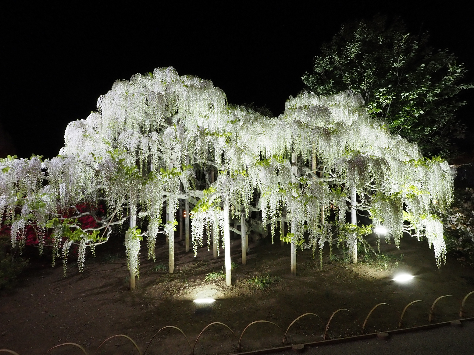 P4260174.jpg