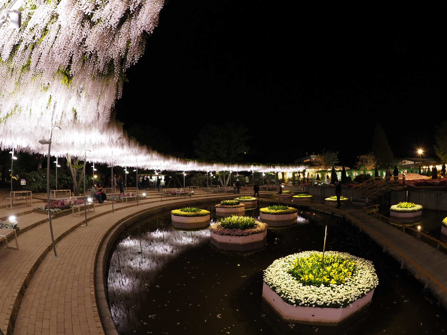 P4260272.jpg