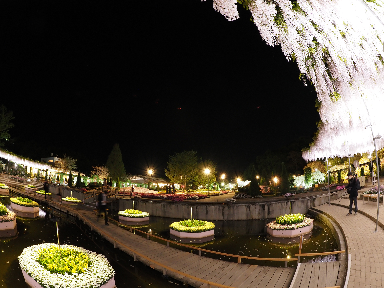 P4260273.jpg