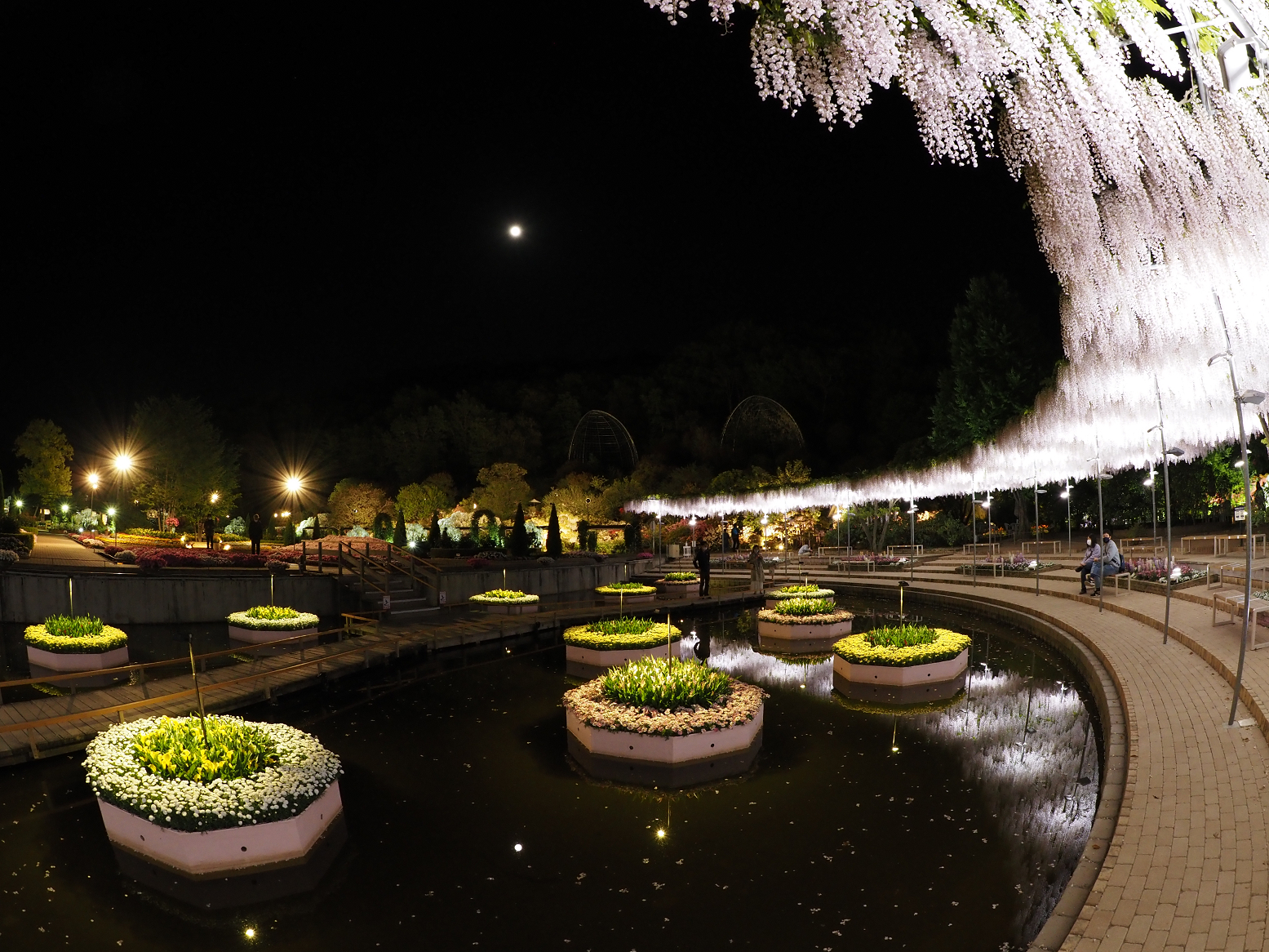P4260275.jpg