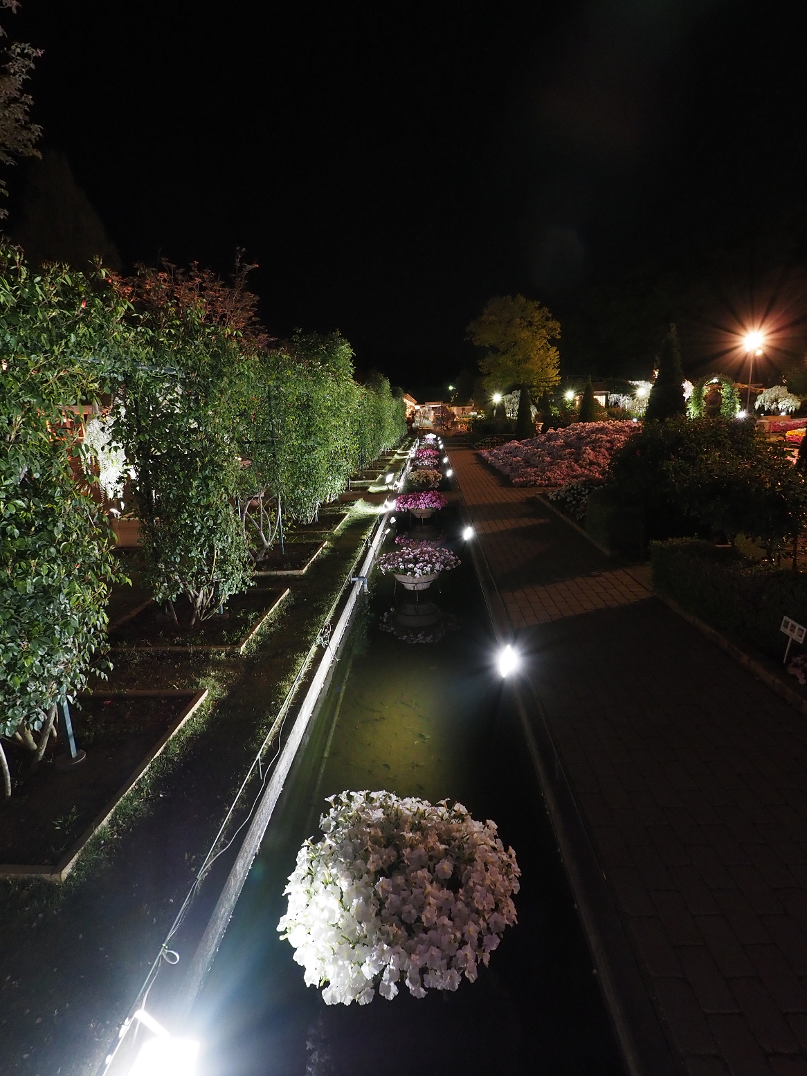 P4260278.jpg