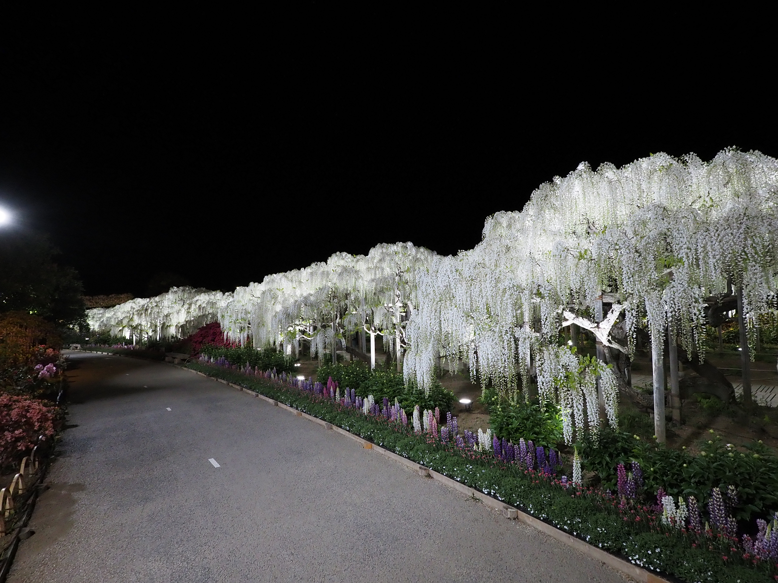 P4260298.jpg