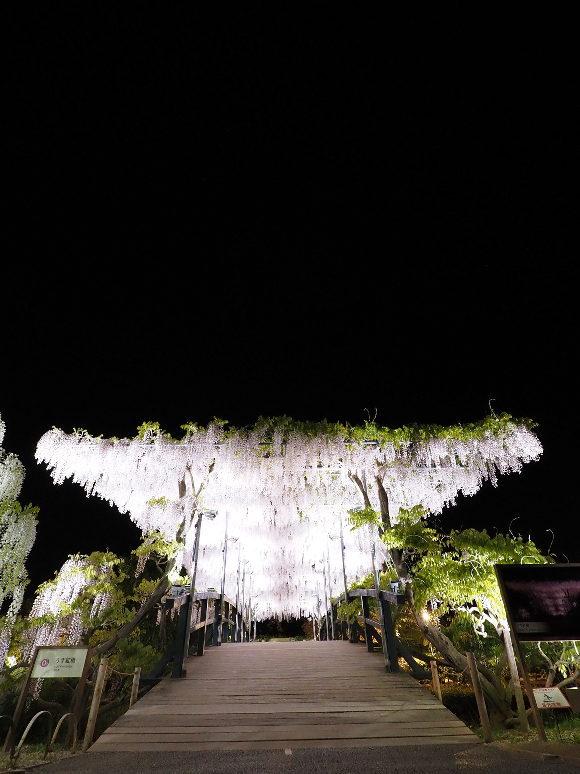 P4260308.jpg