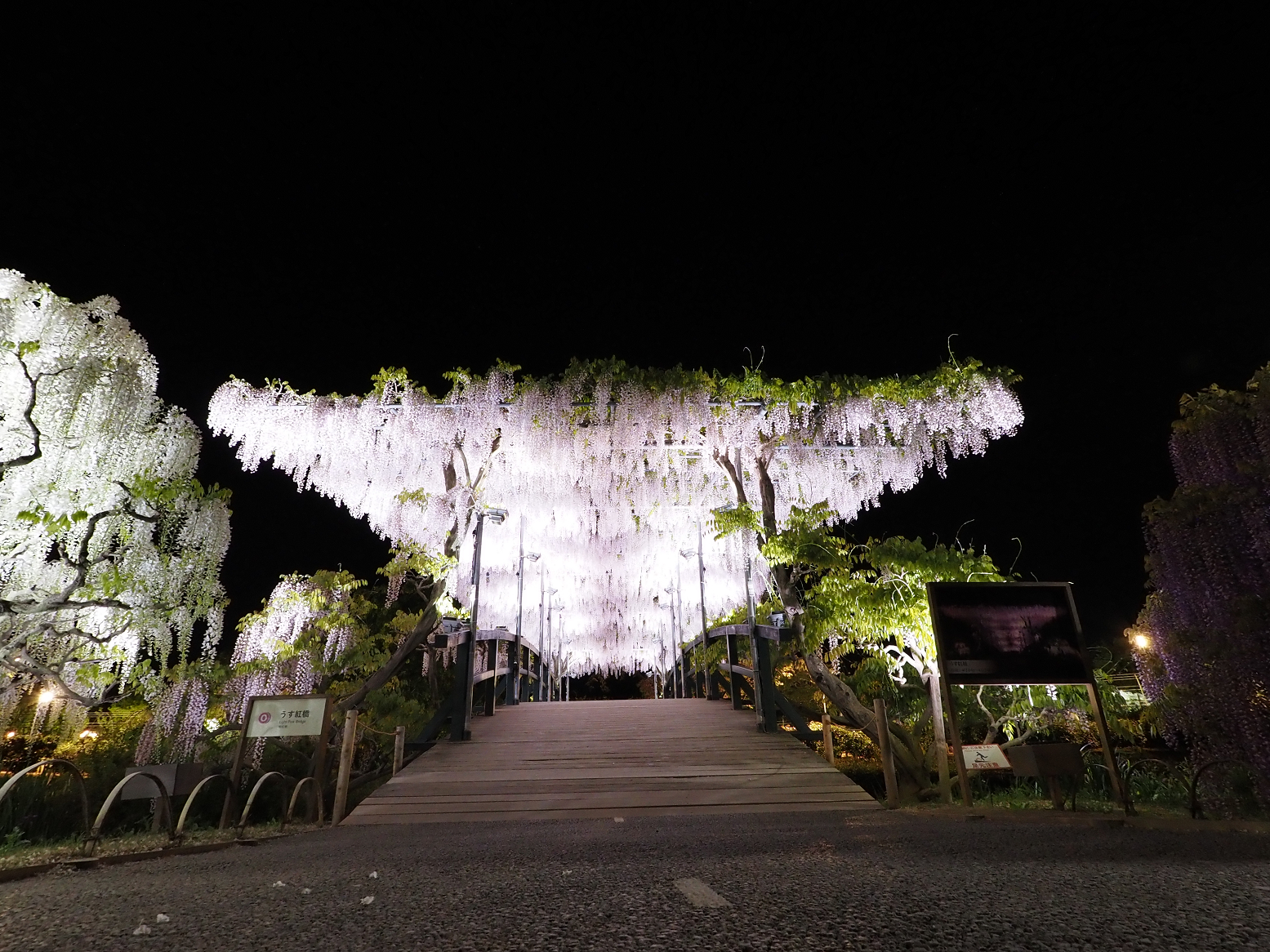 P4260314.jpg