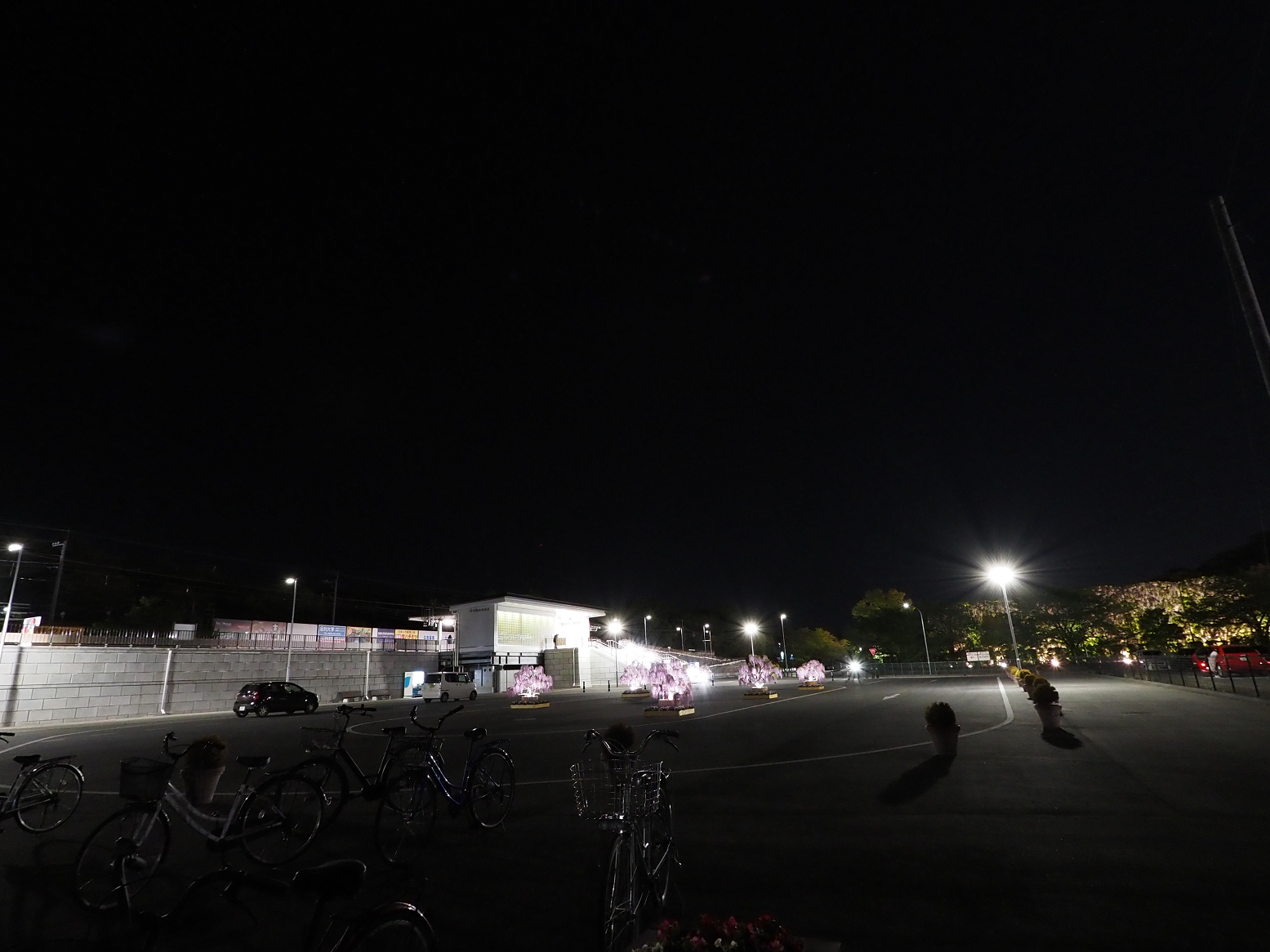 P4260336.jpg