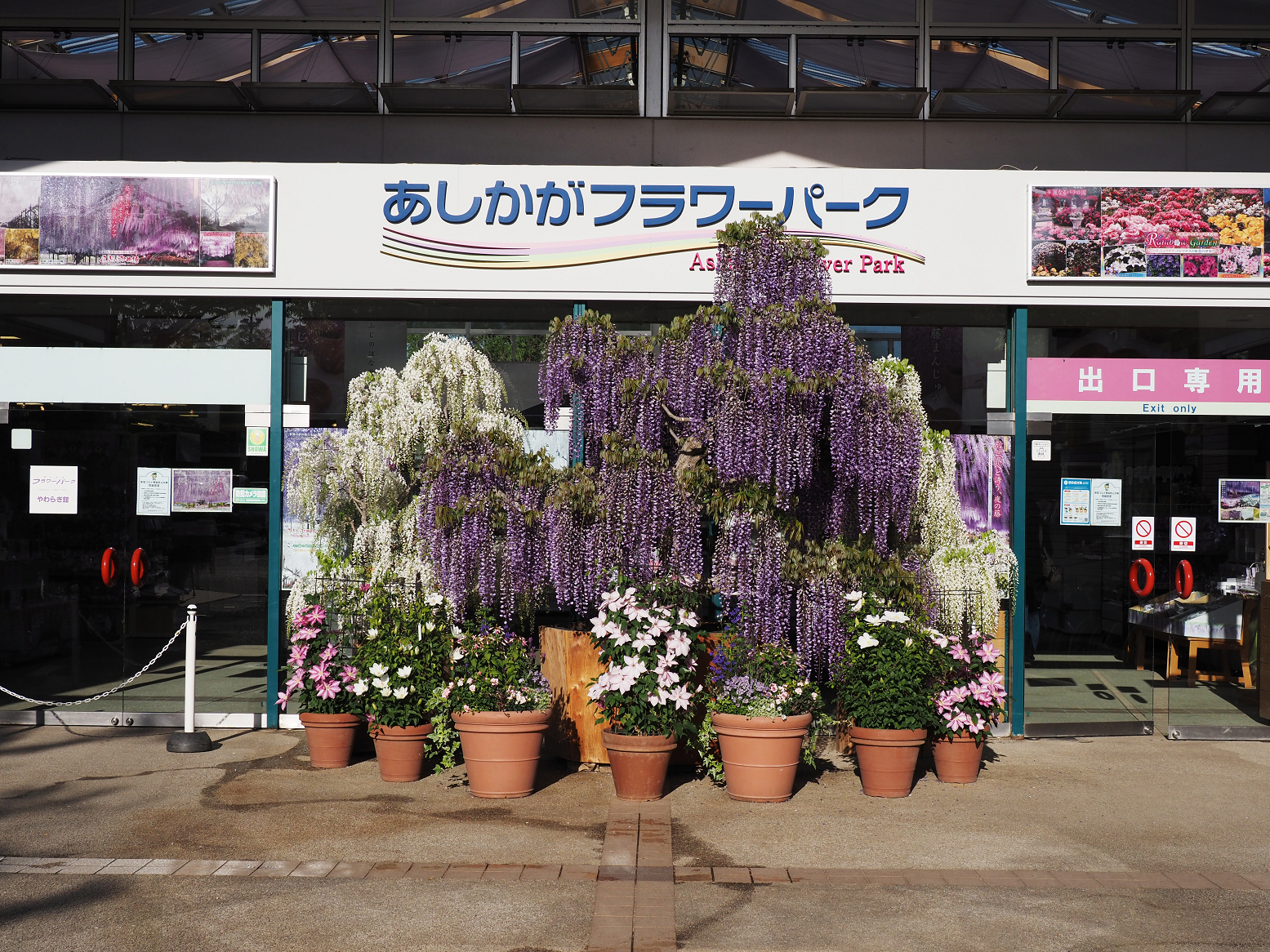 P4270344.jpg