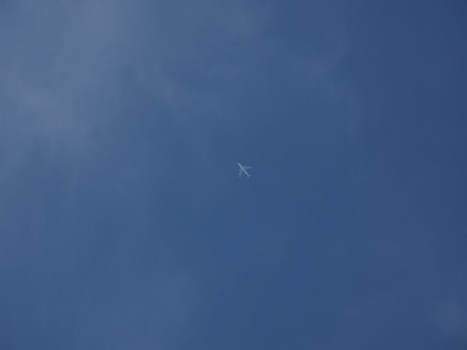 P4270414.jpg