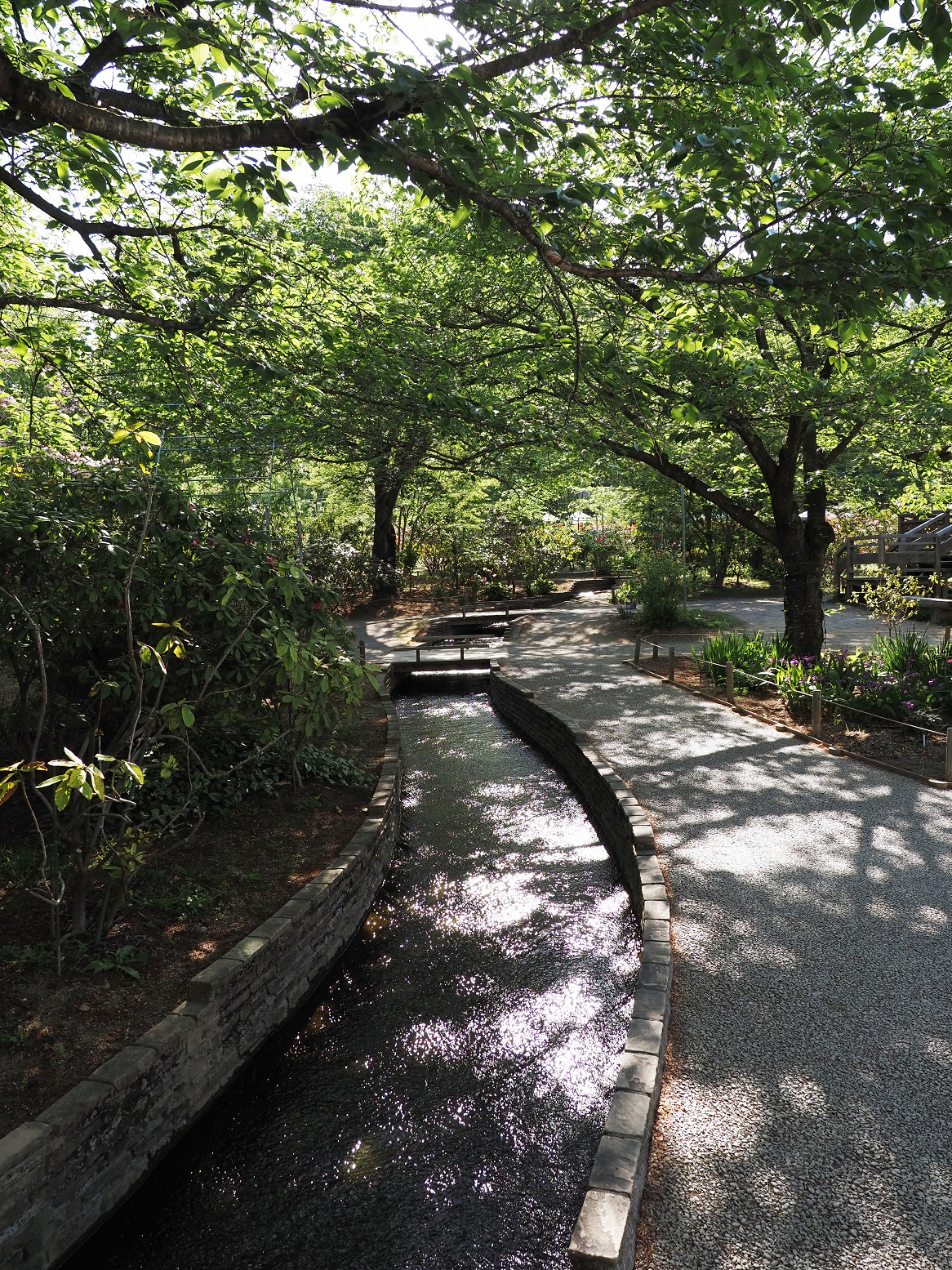 P4270420.jpg