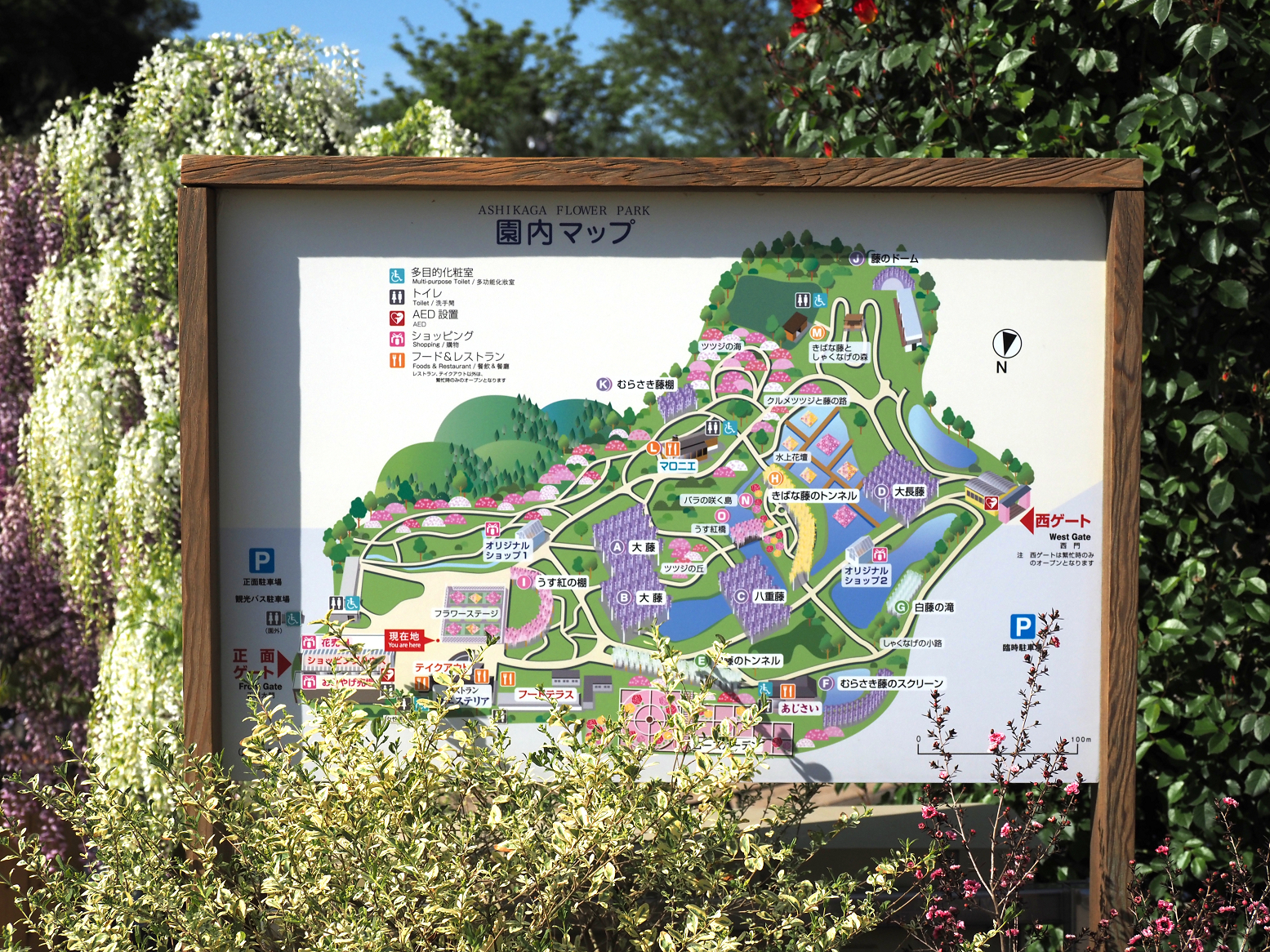 P4270471.jpg