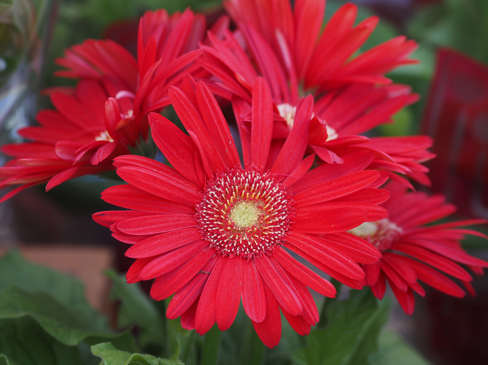 P4270491.jpg