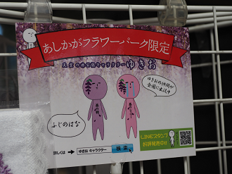 P4270506_thumb.png