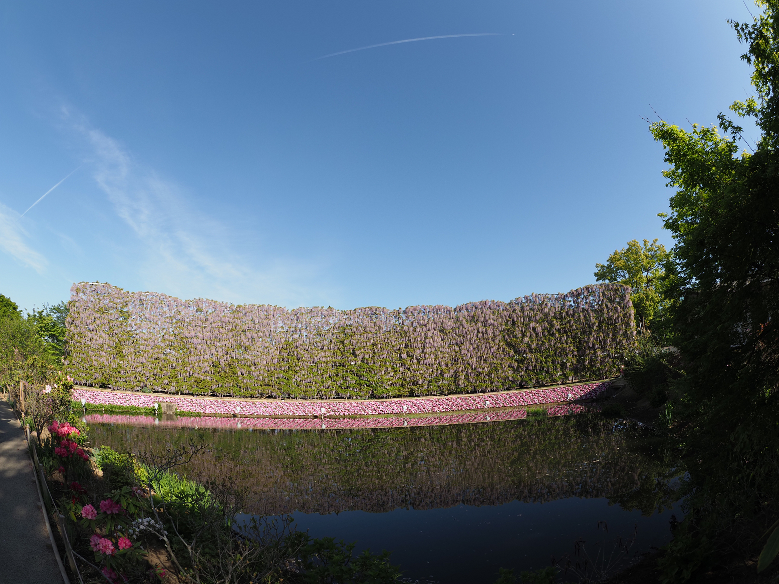 P4270197.jpg