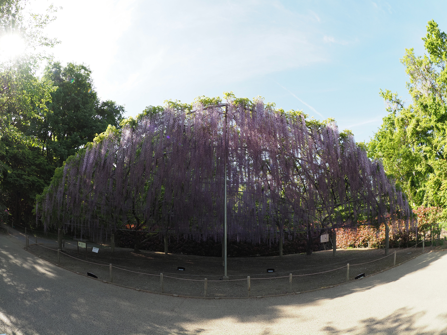 P4270231.jpg