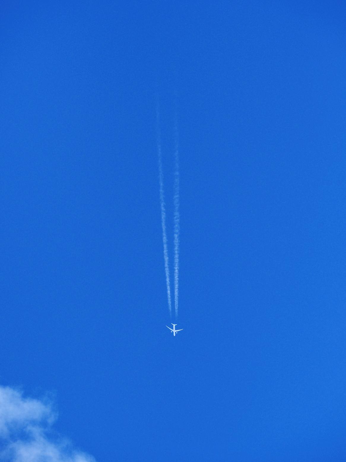 P5030160.jpg