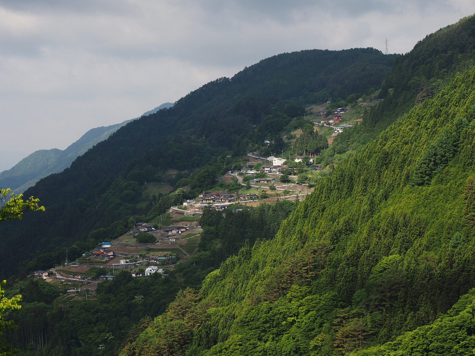 P5290001.jpg