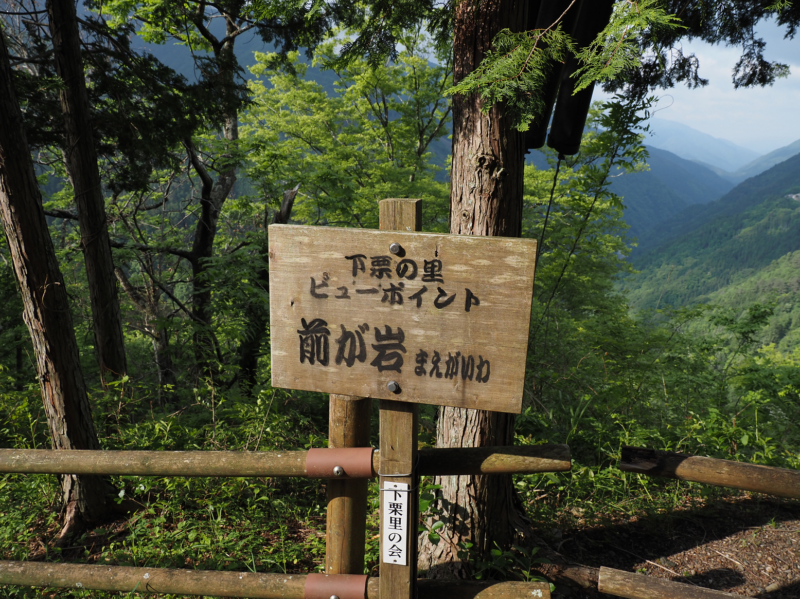 P5290002.jpg