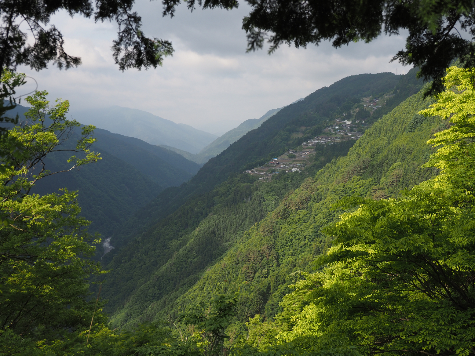 P5290005.jpg